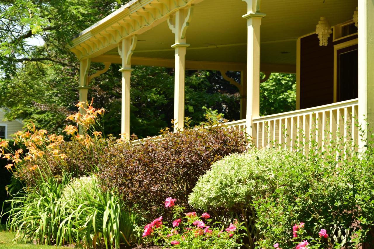 Ivy Lodge Newport Exteriör bild